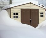 Plastic Garden Storage Shed 10 X 8 Ft Beige Brown Hinged Doors - Image 5