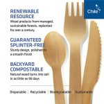 Bamboo Spoons 100 Pack 6.5in Compostable Cutlery - Image 3