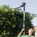 Cordless Pole Hedge Trimmer 45cm 3.2m Reach 10-Position Head Black - Image 6