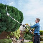 Cordless Pole Hedge Trimmer 193-244Cm 20V 2 Batteries Harness Grey - Image 8