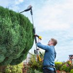 Cordless Pole Hedge Trimmer 193-244Cm 20V 2 Batteries Harness Grey - Image 9